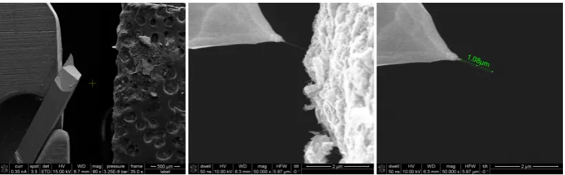 Figure 3.6: Three SEM pictures taken during the attachment of a carbon nanotube on a high-aspect ratio silicon tip.(left) alignment of tip and carbon-tape with CNT’s on it