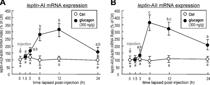 Figure 1. Changes in leptin-AI (A) and leptin-AII (B) mRNA expression in goldfish liver after IP injection of glucagon (300 ng/g bwt) at selected time points (0, 1.5, 3, 6, 12 and 24 h)
