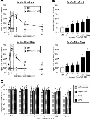 Figure 2. Effects of glucagon treatment on leptin-AI and leptin-AII transcripts in goldfish primary hepatocytes