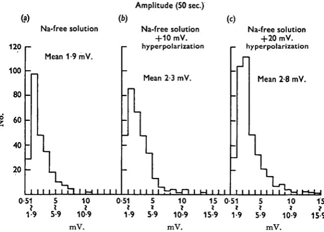 Figure 4the tissuepotential levelshowstionpolarizing currentstoand with both 10 mV.membrane potential levels.andamplitude theIn this particular cell shows the appearance of the m.e.j.p.s in sodium-free solution with 10 mV