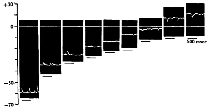 Fig. 10. Legend as for Fig. 9. KC1 and CaCls are 0-54 and 2 mM respectively.