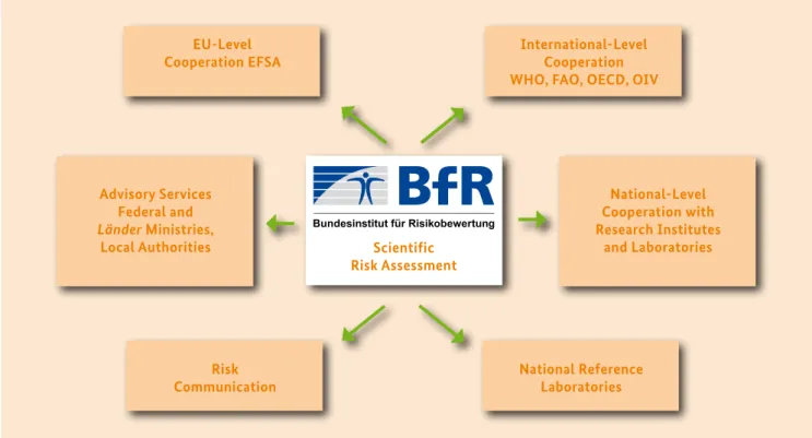 Fig. 7: BfR mandate 