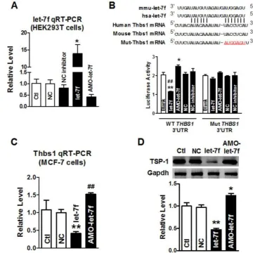 Figure 2. THBS1group was treated with Lipofectamine™ RNAiMAX alone. * P<0.05 vs NC, ** P<0.01 vs NC, ## P<0.01 vs let-7f alone; n=6 independent batches of cells for each group