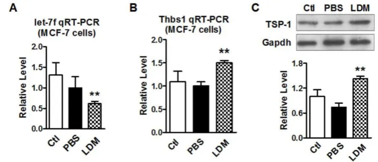 Figure 3. Paclitaxel LDM treatment inhibited let-7 expression and upregulated TSP-1 expression in MCF-7 cells