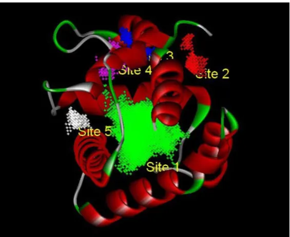 Figure 1. Three-dimensional (3D) model of SlitOBP1. (A)Sequence alignment of SiltOBP1 and BmorOBP
