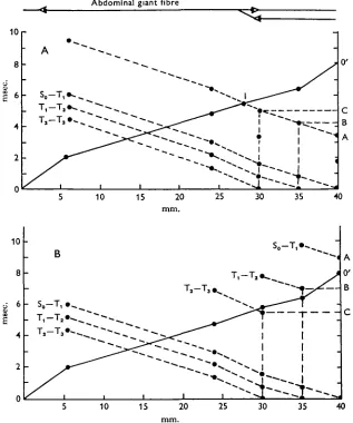 Fig. 8. Analysis of interaction of descending and ascending responses in a model showndiagrammatically above the graph