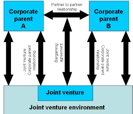 Figure 1.1: Relations within a joint venture situation; adopted from Harrigan (1986)