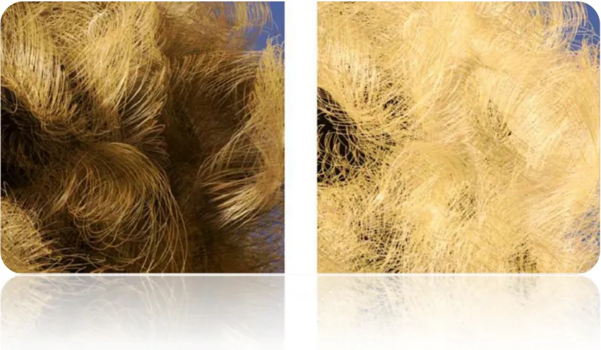 Figure 12. Hair Shadowing 