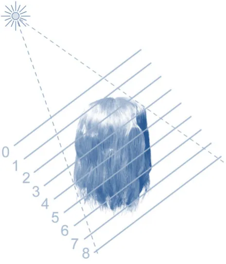 Figure 13 shows an illustration of the opacity shadow map. The hair volume is sliced into different layers by using the clipping planes and the densities are stored into opacity maps