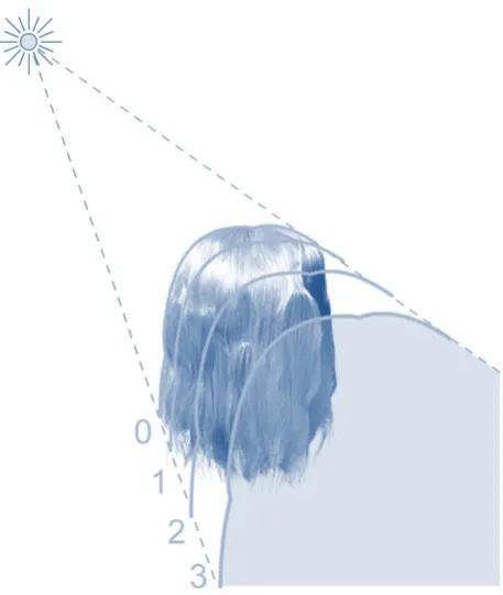 Figure 14 shows an illustration of the deep opacity shadow map. The hair volume is sliced into different layers by using a previous calculated shadow map and the densities are stored together with the shadow map into the different colour channels of the de
