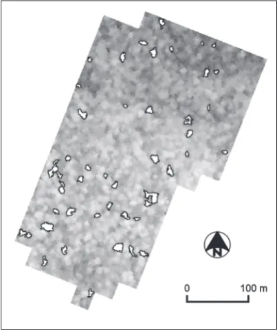 Figure 4. Canopy gaps in the study site as estimated from theDEM. The grey tones in the DEM are directly proportional toelevation (lighter tones have higher elevation); DEM-derivedcanopy gaps are shown as white areas outlined in black.