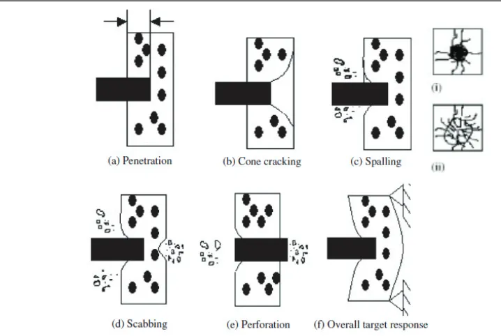 Figure 6. Identification of possible damages of an impacted concrete target. 