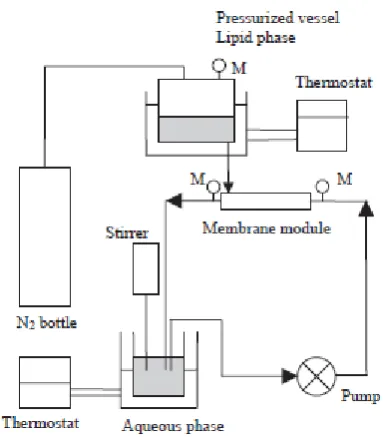 Figure 5: schematic diagram of membrane contractor for SLN preparation27 