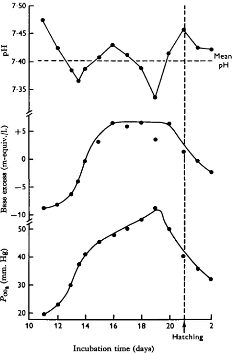 Fig. i. The changes in blood pH, base excess and carbon dioxide tension during the develop-ment of chick embryos