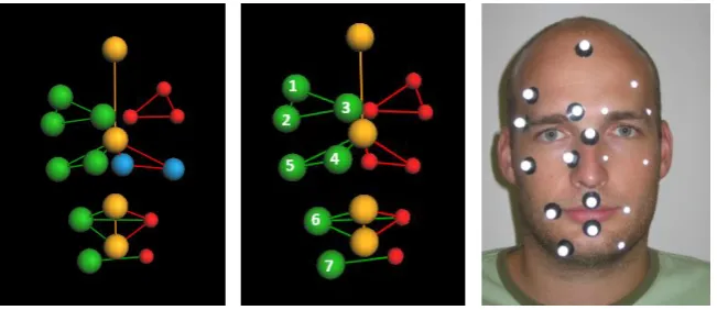 Figure 12 a-b-c: Face model with 3 different types of markers (green red and blue) 