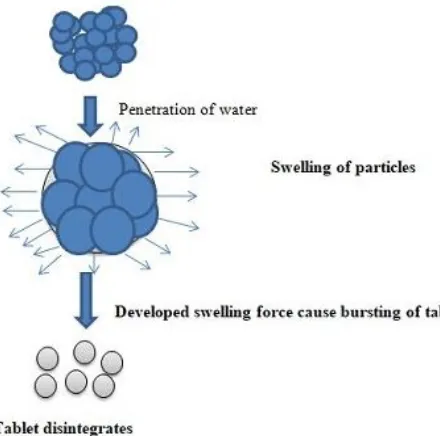 Figure 1 Swelling mechanism of tablet disintegration 