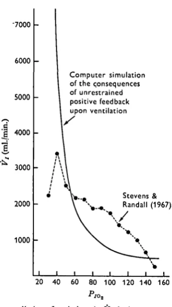 Fig. 6. Computer prediction of variations in Kt during progressive hypoxia withunrestrained positive feedback loop in operation.