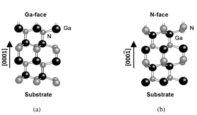 Figure 1.4: The Wurtzite geometric structure of GaN Crystal (a) Ga-faced and (b) N-faced [14]