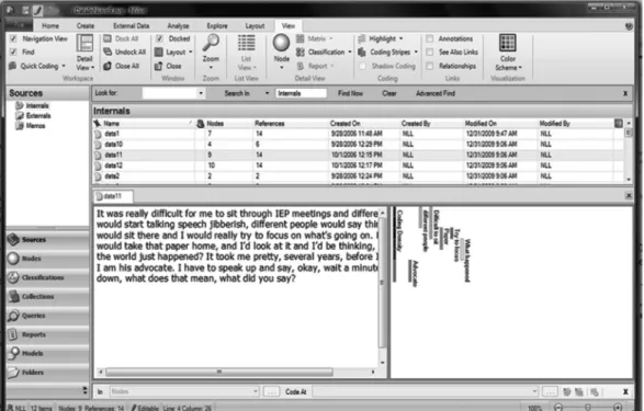 Figure 1. Constant comparison analysis: Coding stripes.