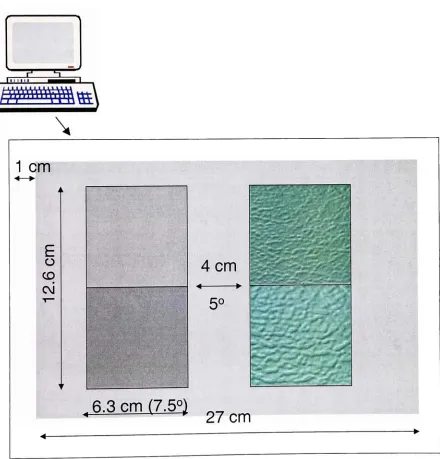 Figure 15. Experimental window for the pair-comparison experiment.