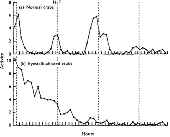 Table 1. Average hourly activity of eyestalkless (E~) and normal (E+) crabs on days 6, 9,12 and 15 after the second eyestalk was removed from the experimental animals