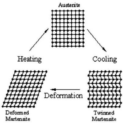Figure 1Shape MemoryProcess1