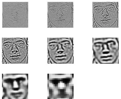 Figure 4. Face Granulation of Weber’s law Level  Analysis 