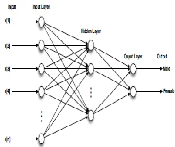 Figure 5. Gradient Operators Using Sobel Edge Detection 
