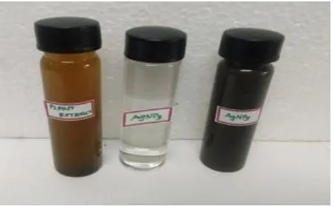 Figure 1: Silver nanoparticles visible observation 