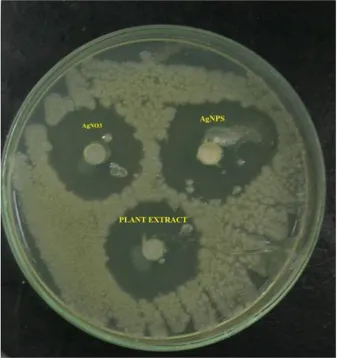 Figure 5: Antibacterial Activity 