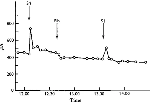 Table 3. Co-operation of potassium and rubidium in carrying the short-circuit current