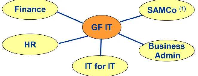 Figure 2 - GF IT and its function business (Shell, 2010) 