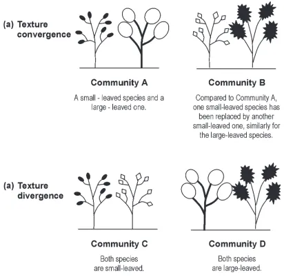 Fig. 1. An schematic illustration of texture convergence/leaf size between communities than within)