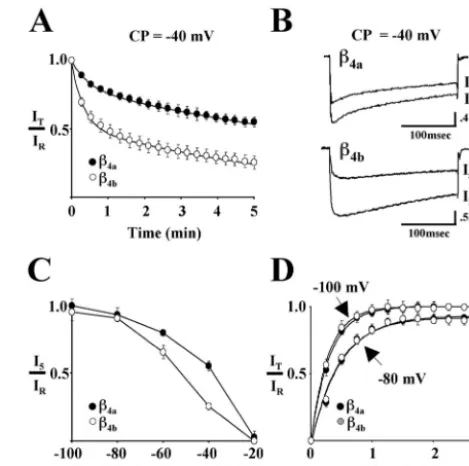 Figure 1.Effects ofslow inactivation of Calinesplexes containing eitherapplied at 15 sec intervals for a total of 3 min