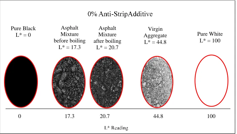 Figure 7-4 Comparison of L* values for asphalt concrete mixtures with no additives and dry virgin aggregate to the L* value of pure black and pure white color 
