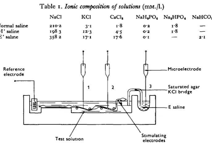 Table 1. Ionic composition of solutions (mM./l.)