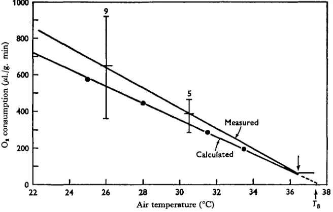 Fig. 6. Oxygen consumption of Celericomaintenance and 4increases with duration of 'warm-up' period