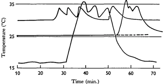 Fig. 8. 'Warm-up' and activity in three RothtckUdia jacobaeextends to ambient temperature