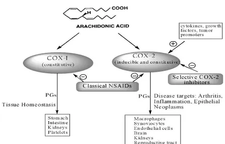 Figure 1: General mechanism of NSAIDs 