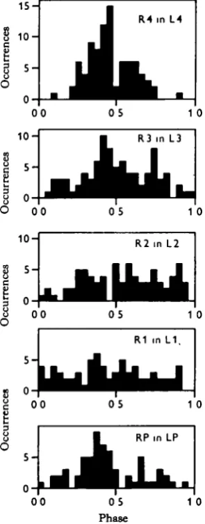 Fig. a. Phase relationships between the bilateral leg pairs. Phase is defined as the tune betweenPhasethe beginning of one leg's step and that of a second (which is the latency) divided by the con-
