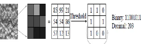 Figure 3. The circular (8,1), (16,2) and (8,2) 