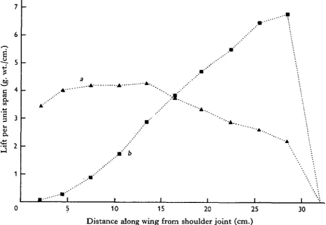 Table 3. Lift distribution in gliding and hovering