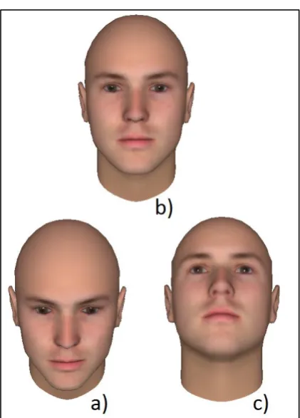 Figure 1:  The face used in the study, pictured from the 