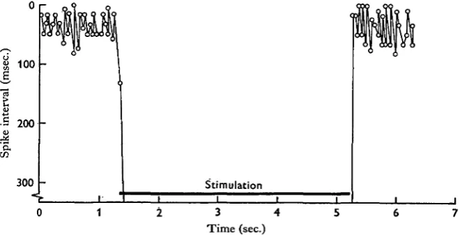 Fig. 14. Plot of consecutive impulse intervals of both units of spiracle 1tion produced by stimulation of the connective between GI and Gil at 50 shocks/sec