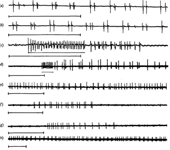 Fig. 2. Patterns of motor activity in the axons to the closer muscle of spiracle 1,expiratory trains in(a-g), in intact locusts and after the removal of GUI (h)