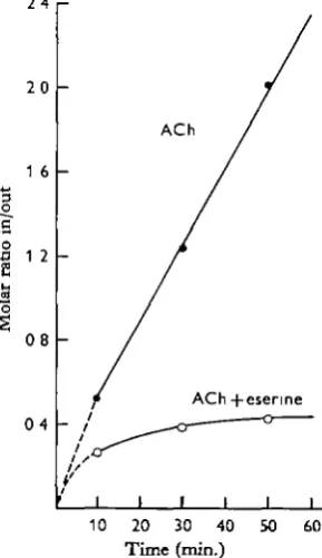 Fig. 1. The relation between time and influx of acetylcholine (alone and in the presence ofeserine) in the abdominal nerve cord