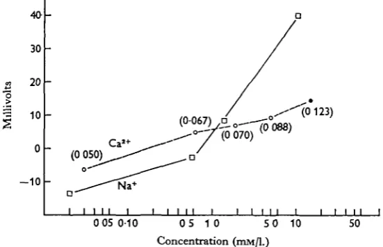 Fig. 3. TEP and [Cameasured at different Caplaced the last test solution, and the TEP was measured at a series of [Naof the solution was removed for Cabers is parentheses give the [Na+], A single animal was immersed in 50 ml