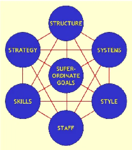 Figure 3.1. The McKinsey 7S Framework 