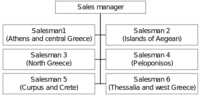 Figure 3.4: Structure of King toys sales department, Geographic based 