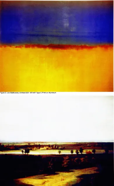 Figure 3. Joe Bialkowsky Untitled 2001